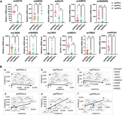 Species origin of exogenous transcription factors affects the activation of endogenous pluripotency markers and signaling pathways of porcine induced pluripotent stem cells